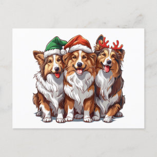 Christmas Shetland Sheepdogs Postkarte