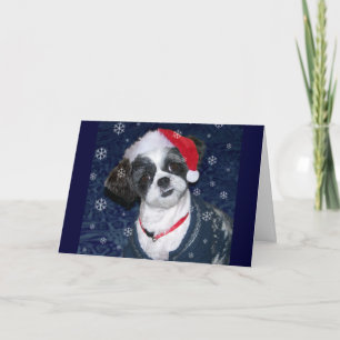 Christmas Shih Tzu Dog Feiertagskarte