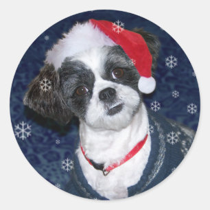 Christmas Shih Tzu Dog Runder Aufkleber