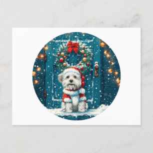 Christmas Shih Tzu Dogs Feiertagspostkarte