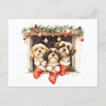 Christmas Shih Tzu Dogs