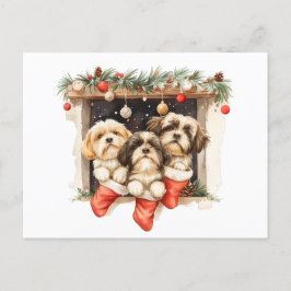 Christmas Shih Tzu Dogs Postkarte
