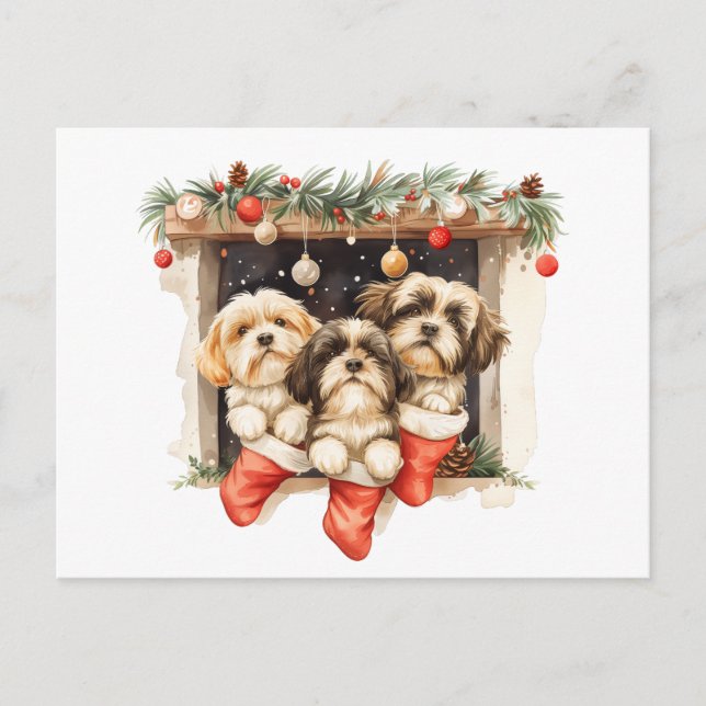 Christmas Shih Tzu Dogs Postkarte (Vorderseite)