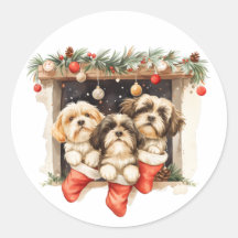 Christmas Shih Tzu Dogs