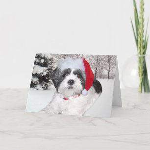 Christmas Shih Tzu Feiertagskarte