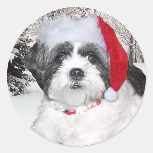 Christmas Shih Tzu Runder Aufkleber (Vorderseite)