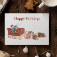 Christmas Shrimp Hermit Crab Crustaceancore Schlit