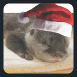 Christmas Sleepy Otter Quadratischer Aufkleber<br><div class="desc">niedlicher Otter mit Weihnachtsmannmütze</div>