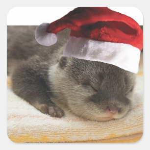 Christmas Sleepy Otter Quadratischer Aufkleber