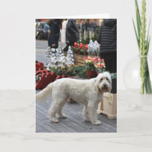 Christmas Sloane Square London Dog Fotografy Karte