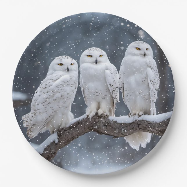 Christmas Snowy Owls Pappteller (Vorderseite)