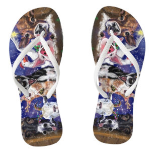 Christmas Song - Animal Party - Happy Flip Flops