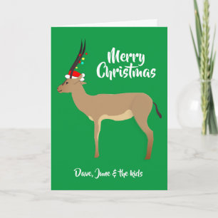 Christmas Springbok Feiertagskarte
