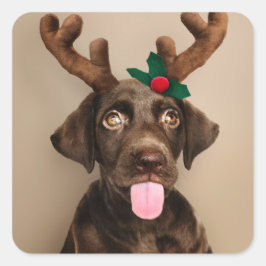 CHRISTMAS STICKERS SCHOKOLADEN LABRADOR W/ REINDEH