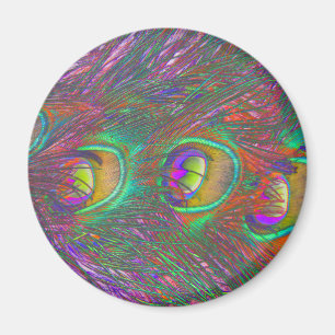 Christmas Tinsel Peacock Feathers Magnet