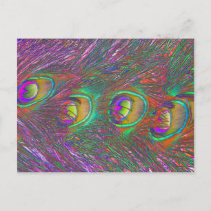 Christmas Tinsel Peacock Feathers Postcard Postkarte