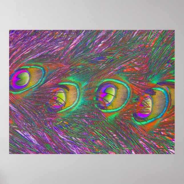 Christmas Tinsel Peacock Feathers Poster (Vorne)