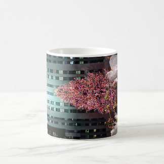 CHRISTMAS TREE & ANGELS VERWANDLUNGSTASSE