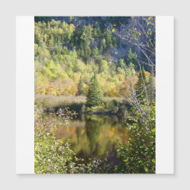 Christmas Tree holiday card, magnetic card Magnetkarte