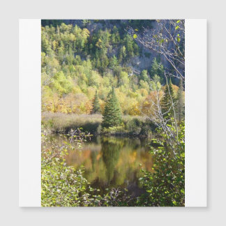 Christmas Tree holiday card, magnetic card Magnetkarte