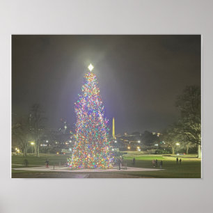 Christmas Tree US Hauptstadt Washington DC Poster