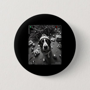 Christmas Treeing Walker Coonhound auf Kamera erwi Button