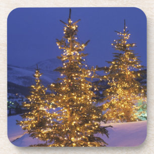 Christmas trees, Park City, Wastch Mountains, 2 Getränkeuntersetzer