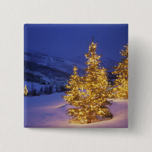 Christmas trees, Park City, Wastch Mountains, Button