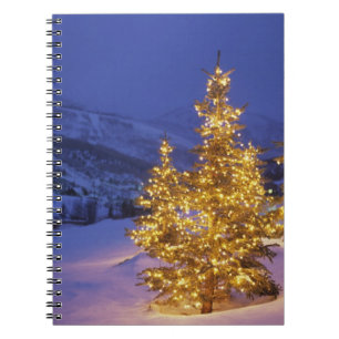 Christmas trees, Park City, Wastch Mountains, Notizblock