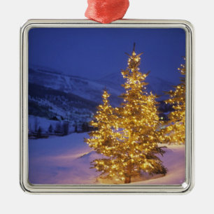 Christmas trees, Park City, Wastch Mountains, Silbernes Ornament