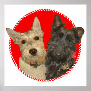 Christmas Wheaten & Black Scott Poster