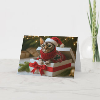 Christmas Whiskers & Wrinkles Card Feiertagskarte