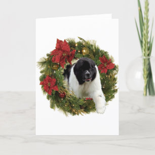 Christmas Wreath Newf Landseer Feiertagskarte