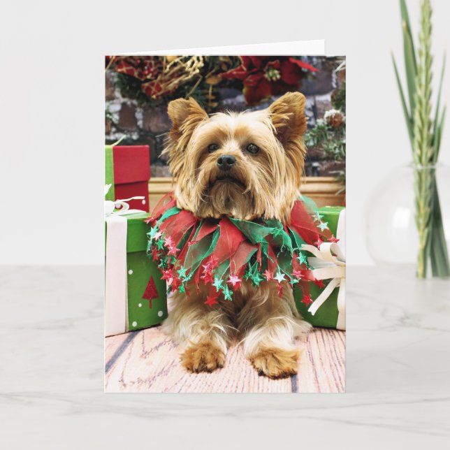 Christmas - Yorkie - Max Feiertagskarte (Vorderseite)