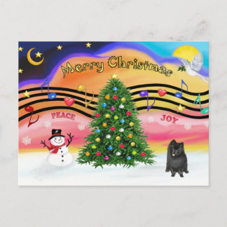 Christmast Music 2 - Spitz (schwarz) Feiertagspostkarte