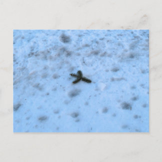 Christmastime in Neuengland Feiertagspostkarte