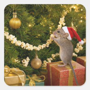 Christmausmaus, der Popcorn-Girlande am Baum isst Quadratischer Aufkleber