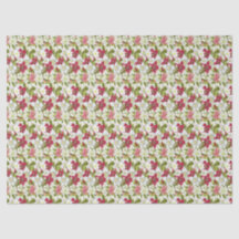 Christrosen-Anemonen-Blumen