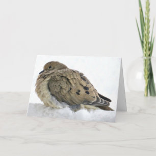 Christus feiern mit Weihnachten Frieden und Segen Karte