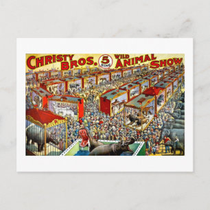 Christy's Wild Animal Show - Vintage Postkarte