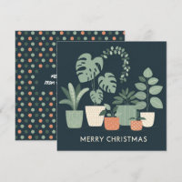 Chritmas Orange Green Potted Pflanze