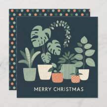 Chritmas Orange Green Potted Pflanze