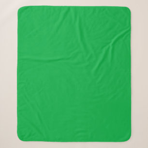 Chroma-Schlüsselfarbe Grün Sherpadecke