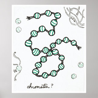 Chromatin Poster