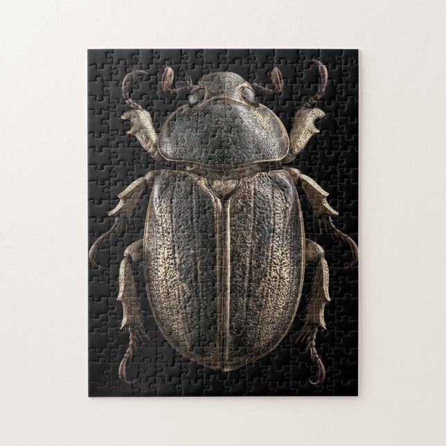 Chromatische Käfer Puzzle (Vertikal)
