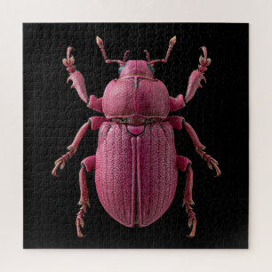Chromatische Käfer Puzzle