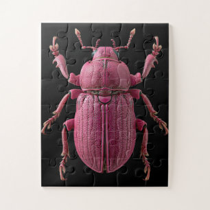 Chromatische Käfer Puzzle