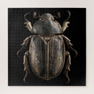 Chromatische Käfer Puzzle