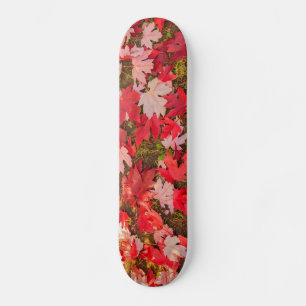 Chromatische Magie der Skateboards im Herbst