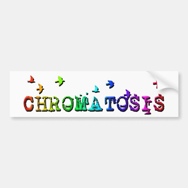 Chromatose : Regenbogenvögel : Autoaufkleber (Vorne)
